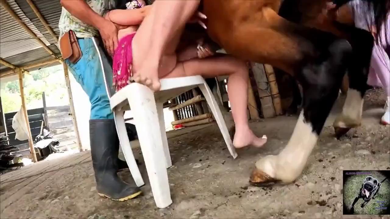 TickZoo